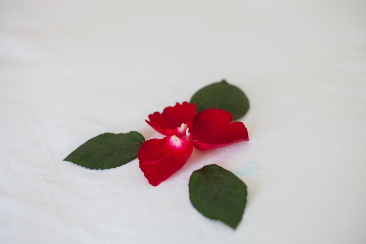 Sapa Tulip Hotel Экстерьер фото